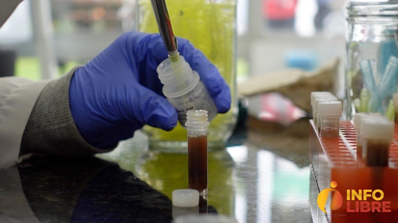 WhatsApp Image 2022-12-21 at 3.50.33 PM