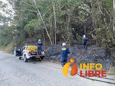 1187a9bc-c486-44f7-551e-ba83c5edb571