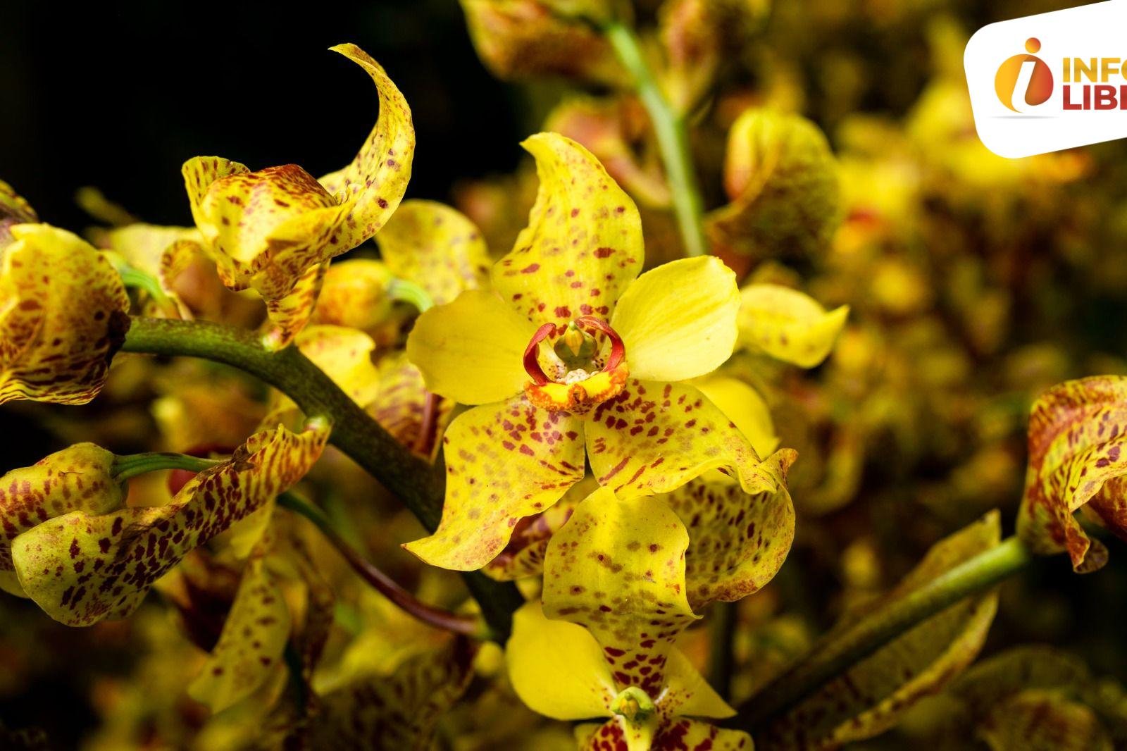 WhatsApp Image 2023-02-24 at 2.12.35 PM