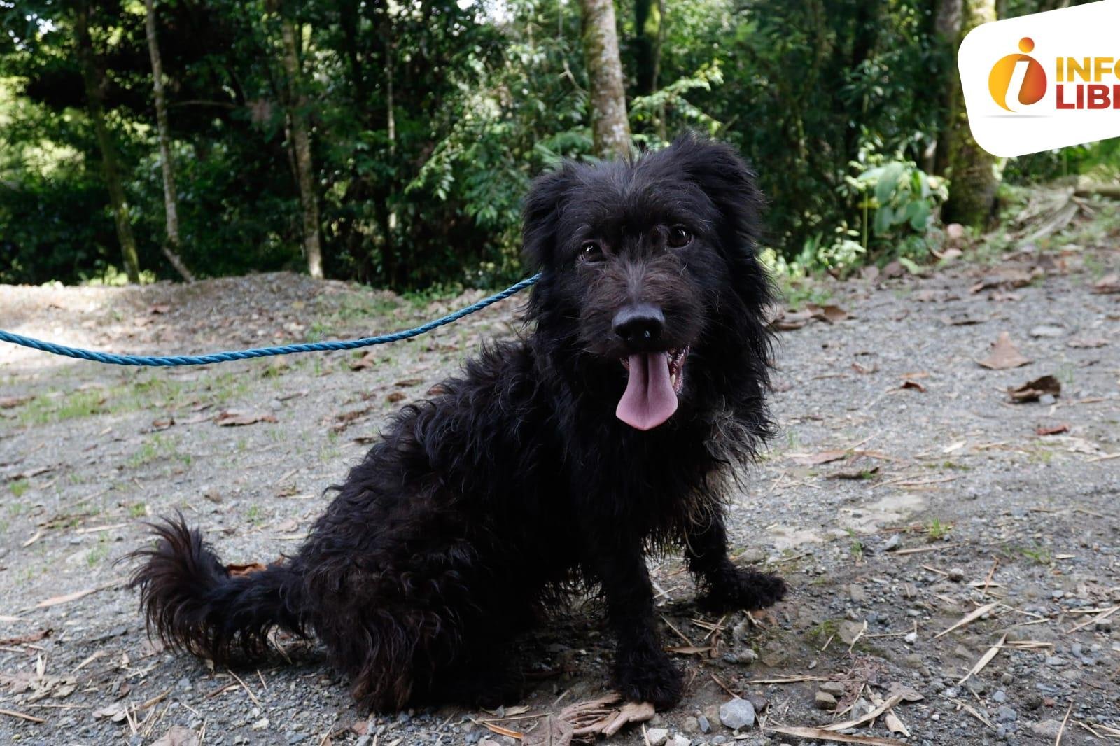 WhatsApp-Image-2023-04-19-at-4.24.29-PM