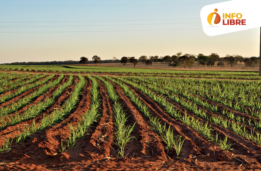 Carcel rural Carcel rural