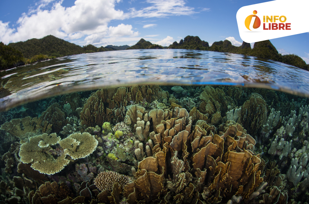 Biodiversidad Biodiversidad