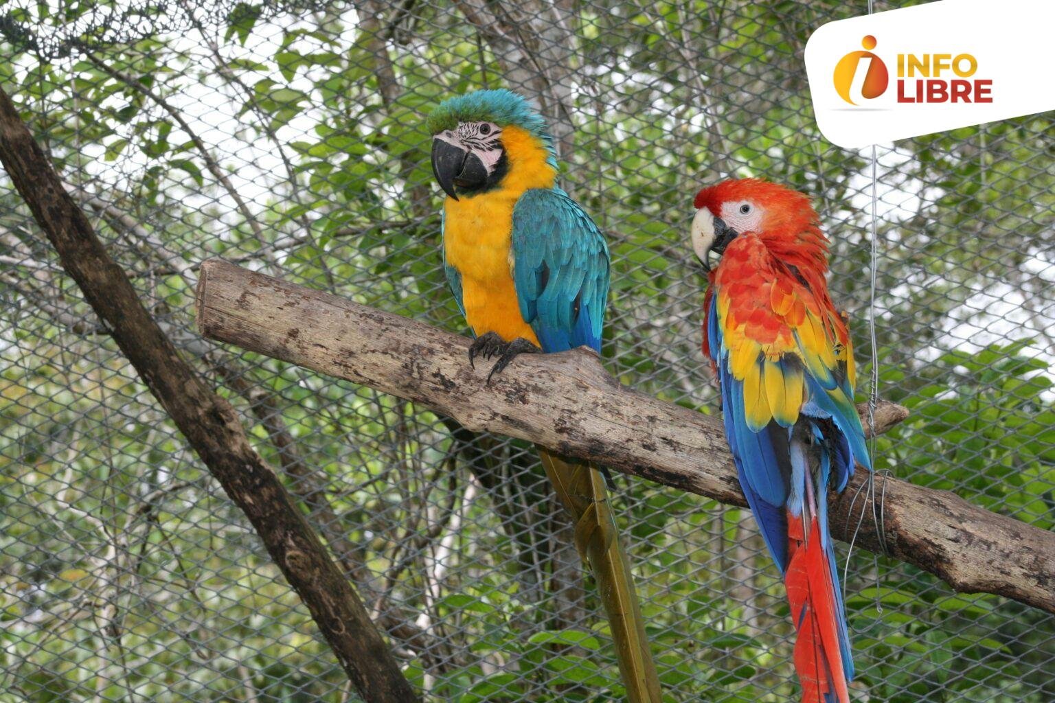 Imagen-112-1536x1024 Vida Silvestre