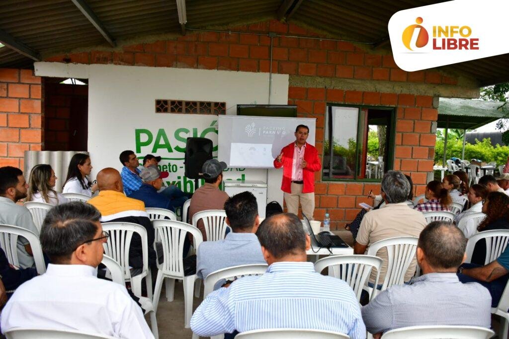 WhatsApp-Image-2024-07-04-at-9.55.47-AM-1024x683 Plátano