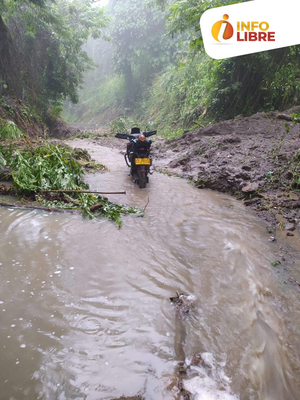 image_123650291-1-3-1152x1536 Manzanares