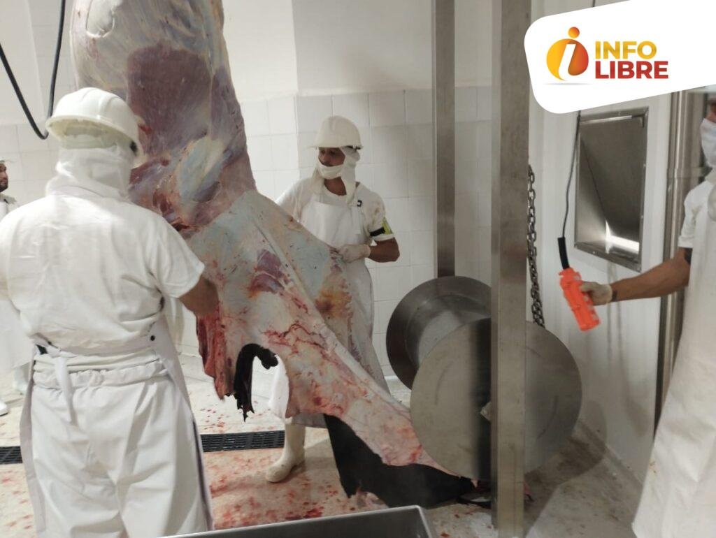 Planta-de-Beneficio-Animal-Aguadas-1-1024x770 Planta de Beneficio Animal