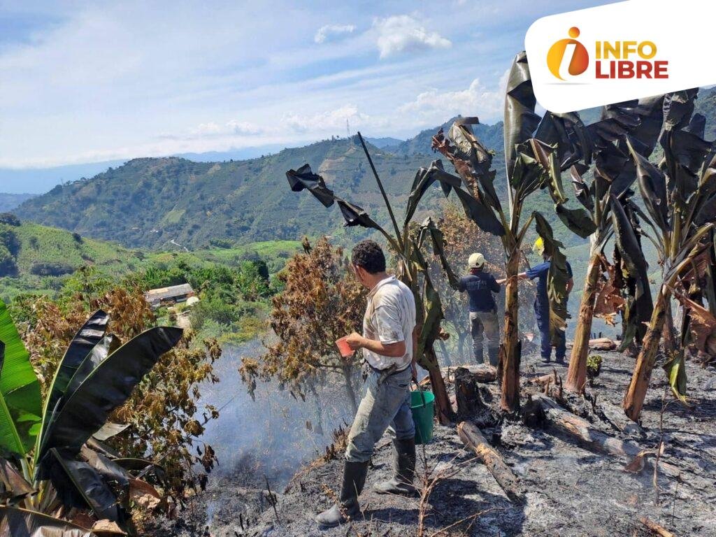 image_123650291-10-1024x768 Incendios Forestales