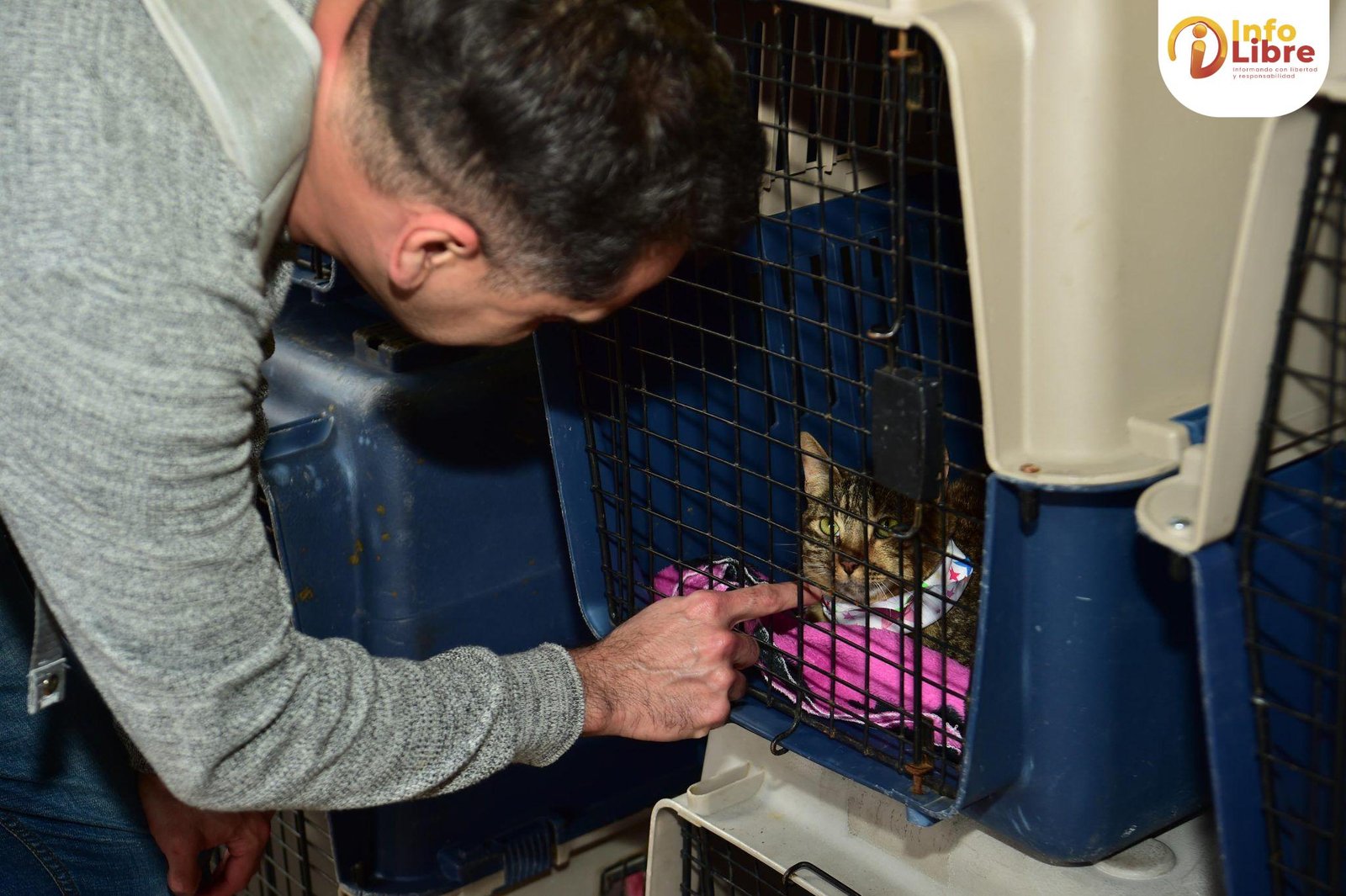 WhatsApp-Image-2025-03-17-at-3.43.23-PM-2-2048x1363 Adopción animales Manizales