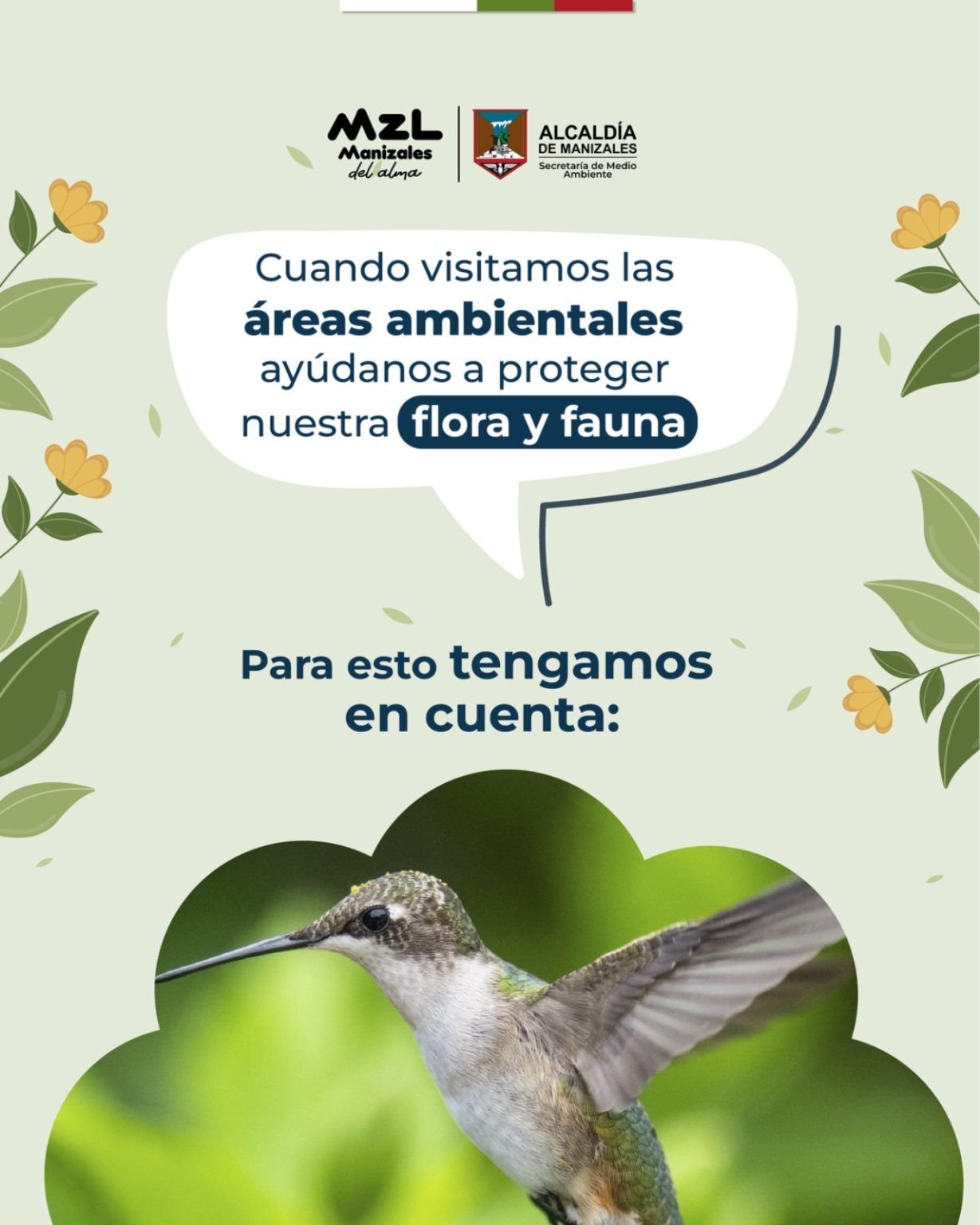 WhatsApp-Image-2025-04-01-at-4.17.06-PM-1229x1536 Manizales