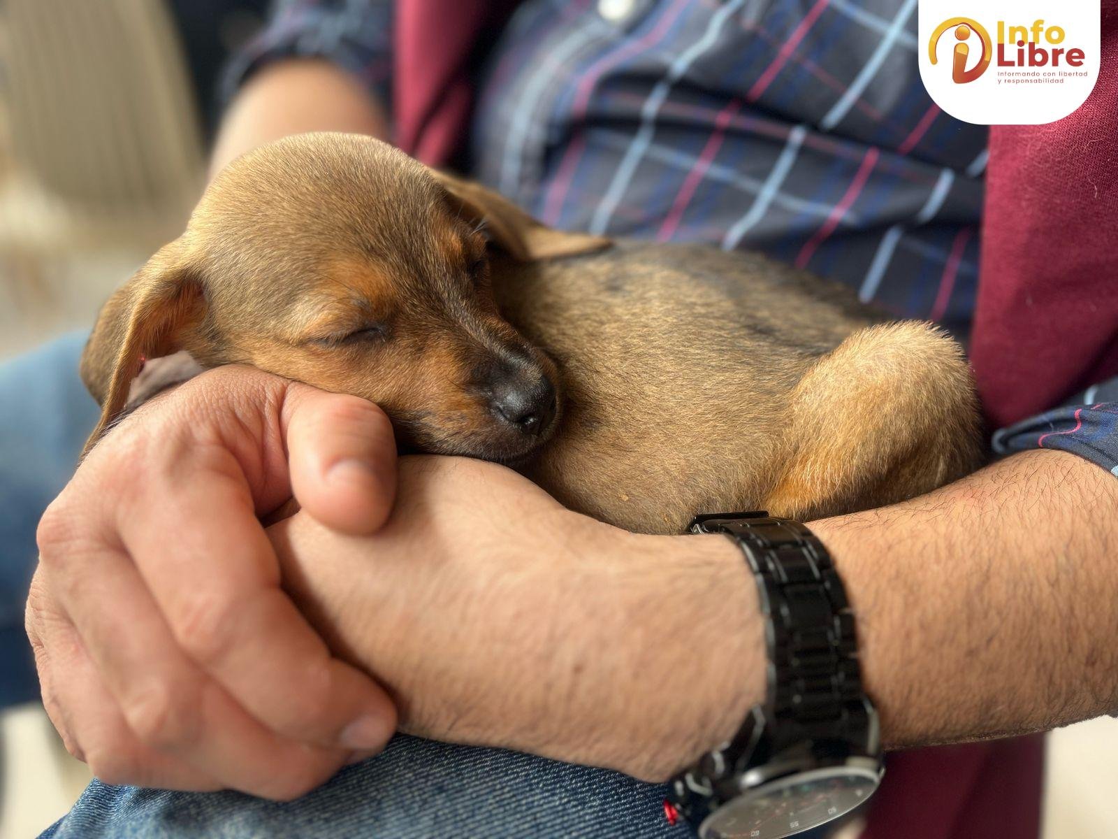 WhatsApp-Image-2025-04-14-at-9.55.12-AM-2 Cita a ciegas