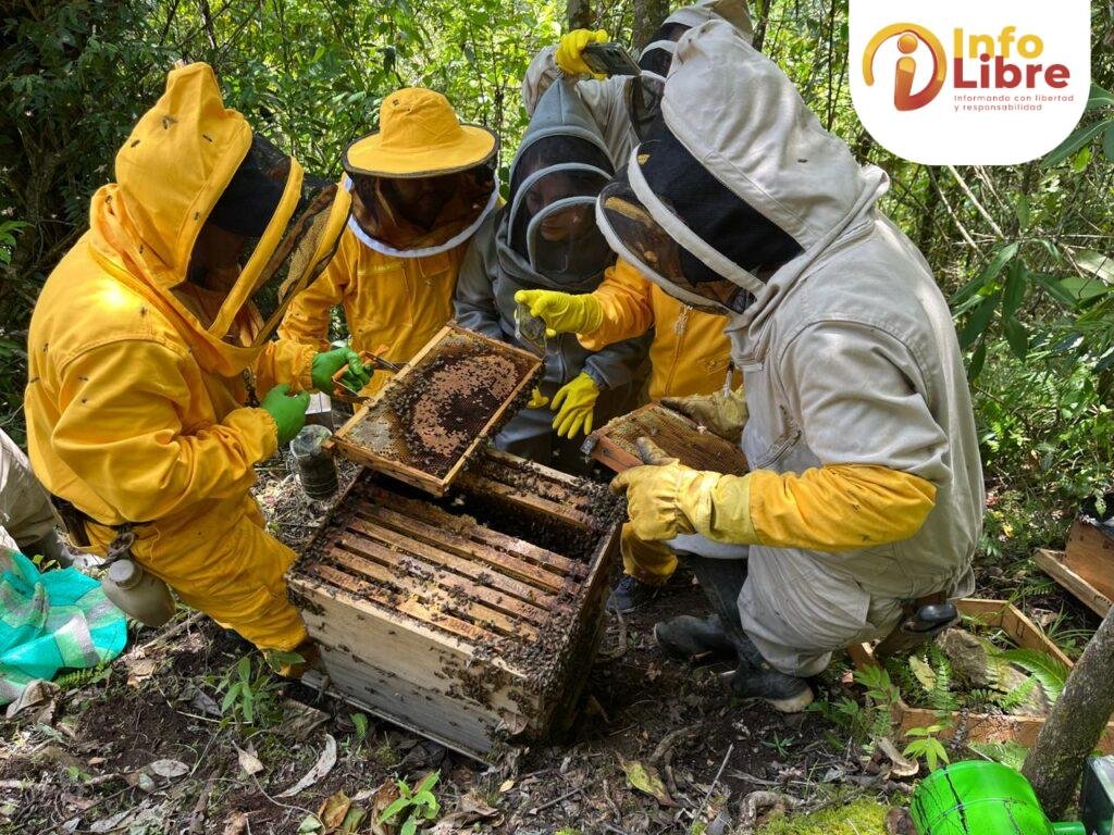 Muerte de abejas