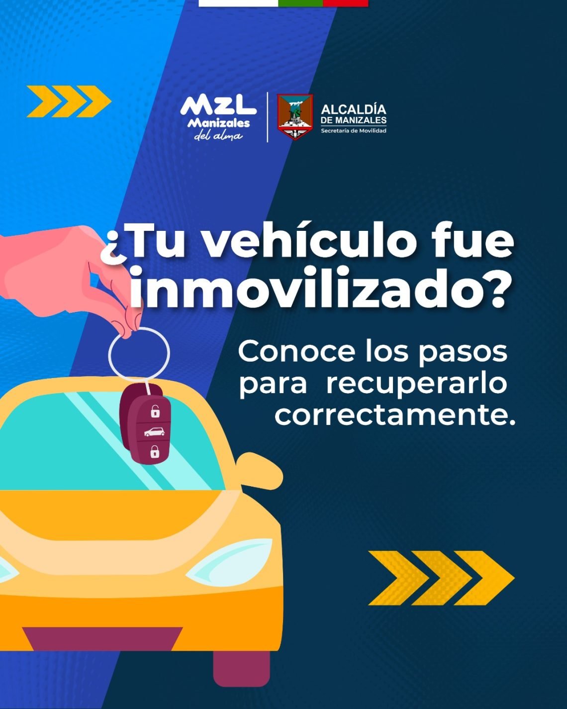 Vehículo inmovilizado