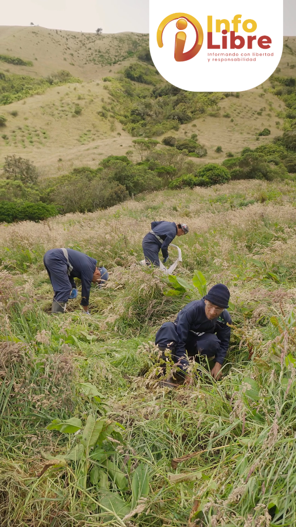 prpuesta-2-nevado.00_00_45_43.Imagen-fija001-576x1024 restauración ecosistémica