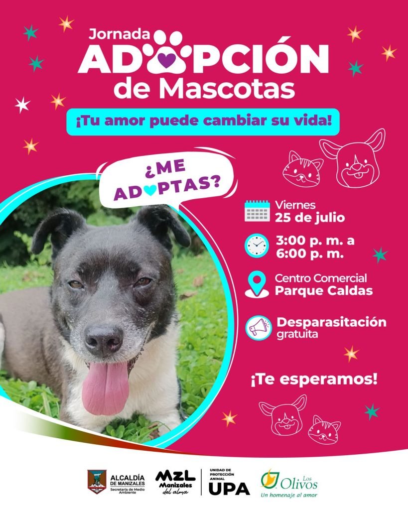 Jornada de adopción de mascotas