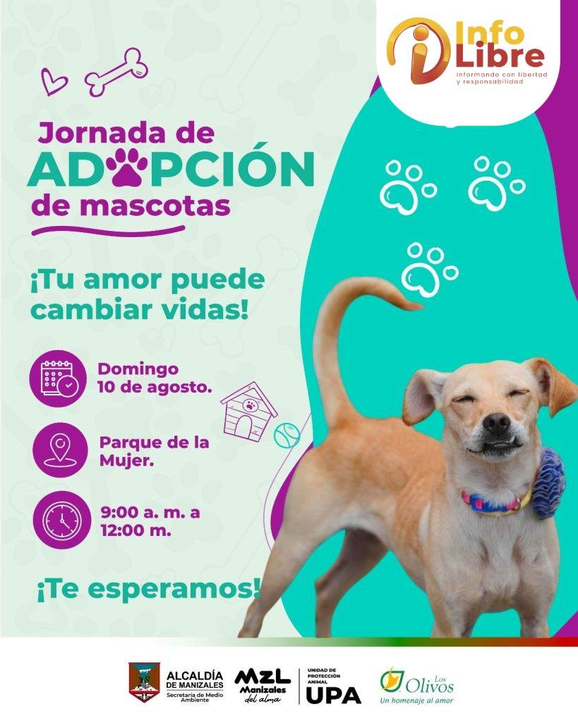 Jornada de adopción de mascotas