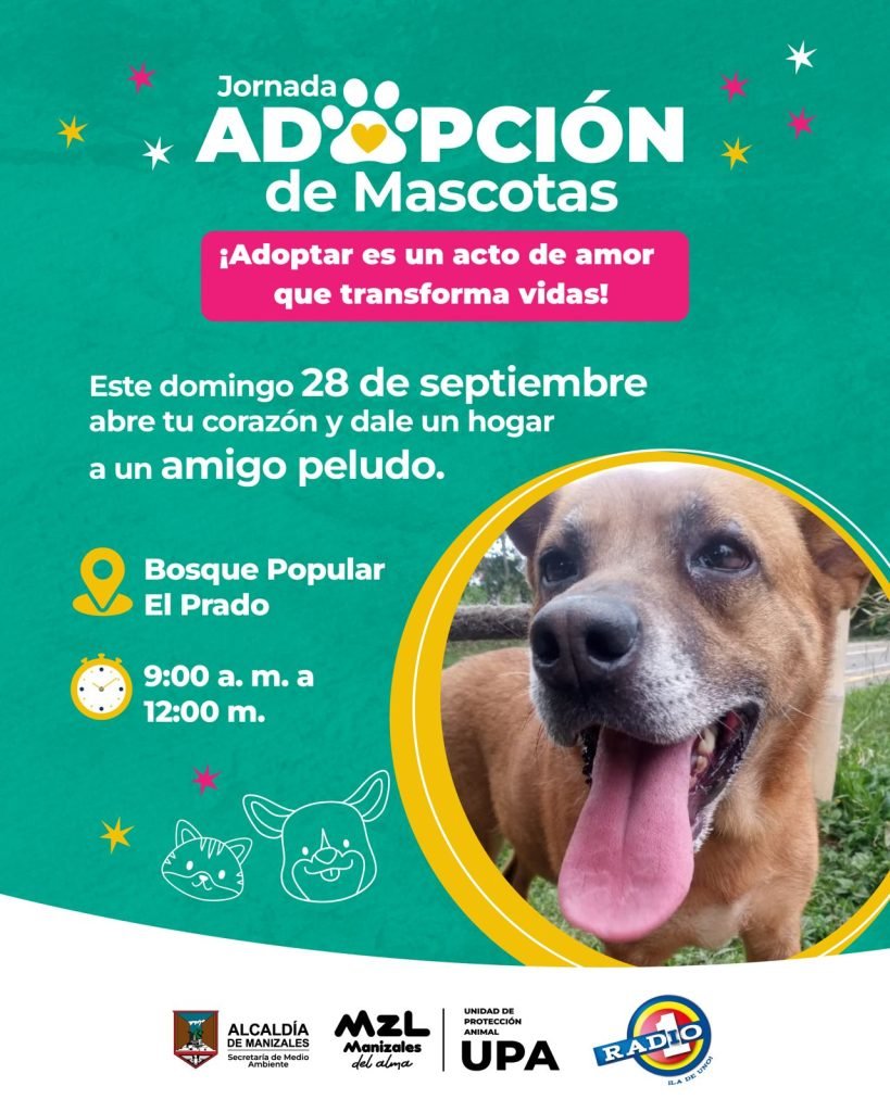 Jornada de adopción