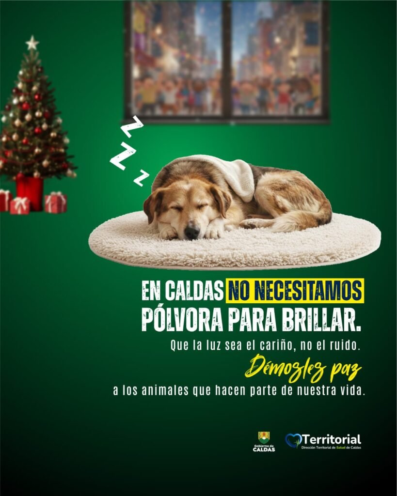 WhatsApp-Image-2025-12-11-at-10.25.34-AM-819x1024 pólvora