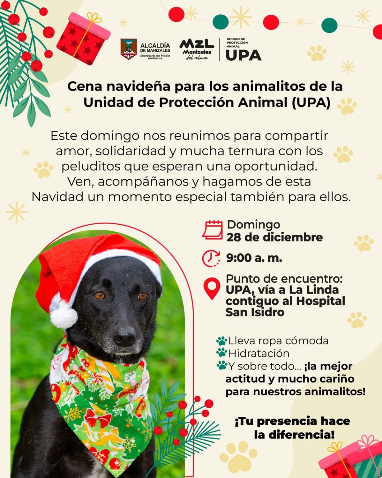 WhatsApp-Image-2025-12-22-at-11.18.10-AM-1229x1536 UPA