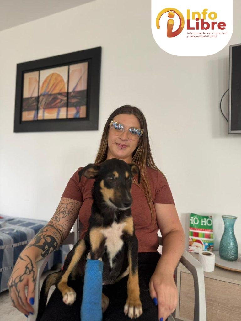 WhatsApp-Image-2026-01-22-at-9.52.36-AM-768x1024 adoptar