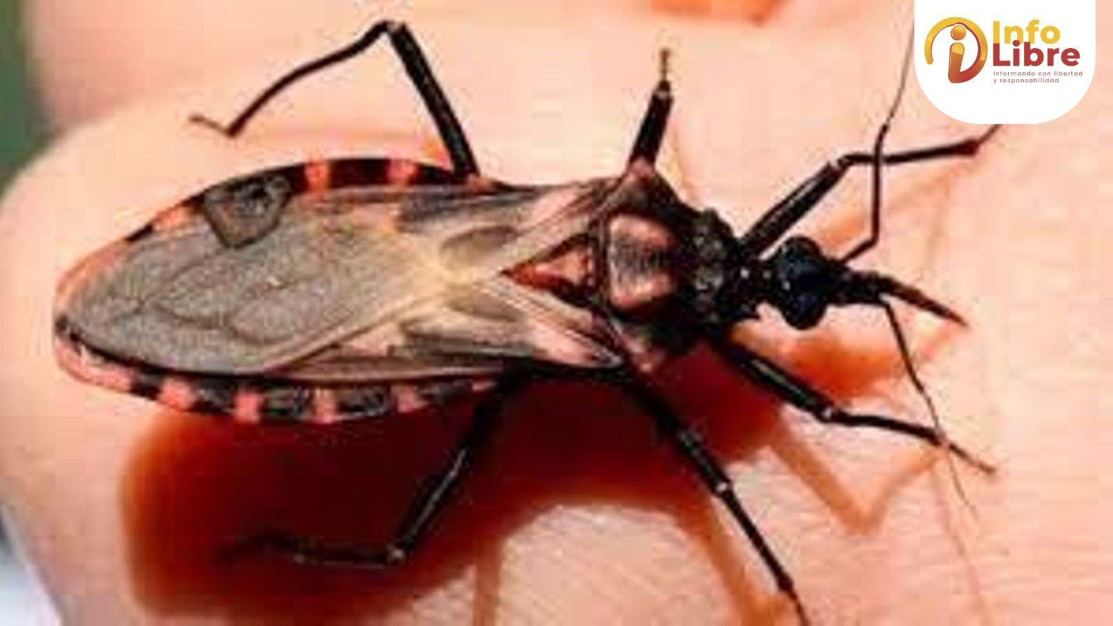 Enfermedad de Chagas