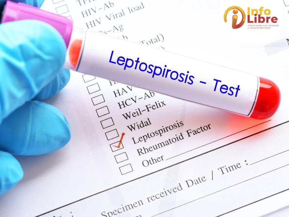 Leptospirosis en Caldas