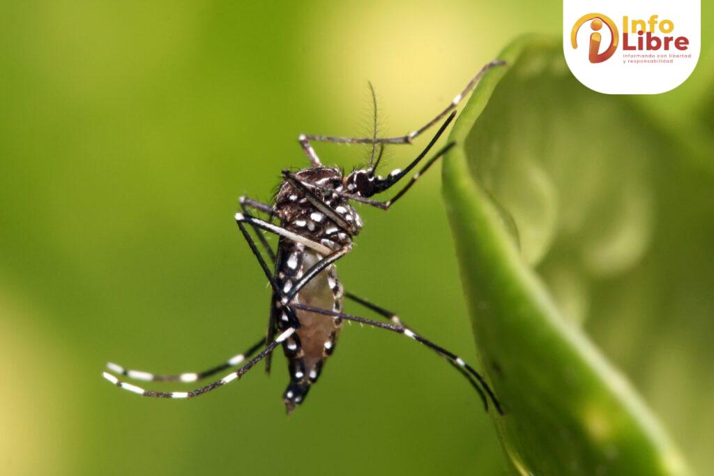 WhatsApp-Image-2026-06-23-at-2.57.22-PM-1024x682 Dengue en Caldas