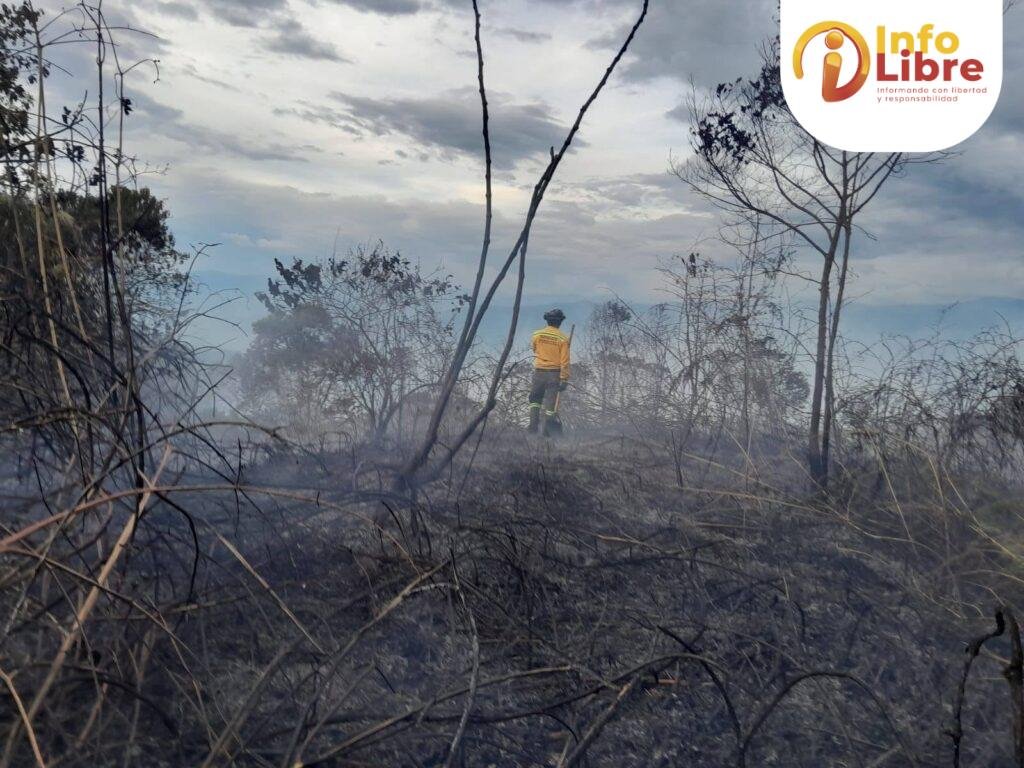 WhatsApp-Image-2026-07-23-at-3.22.35-PM-1-1024x768 Incendios forestales en Caldas
