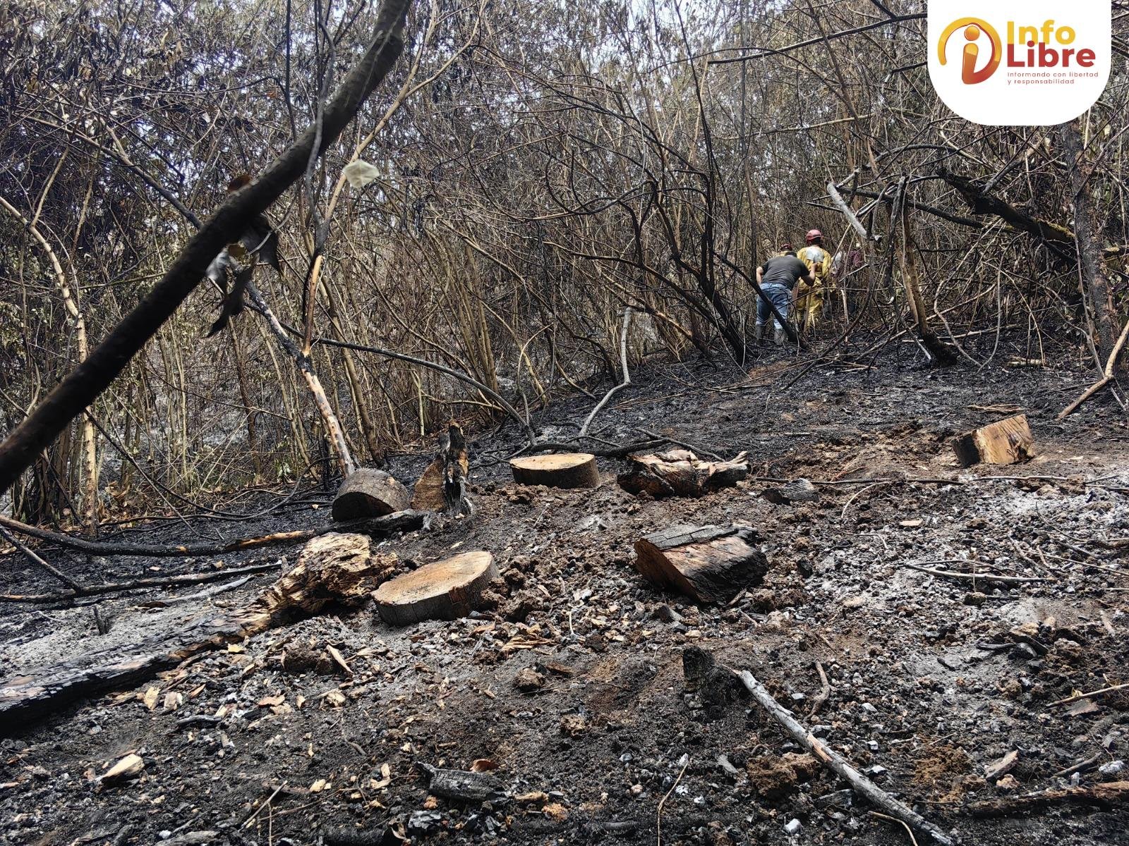 incendios forestales
